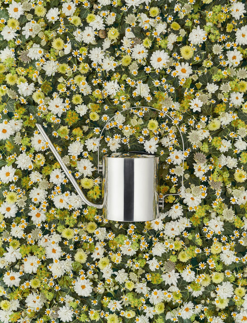 Stelton Original Flower Watering Can 1.7 L