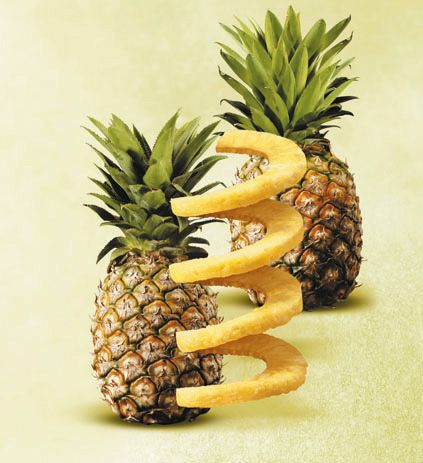 Gefu Pineapple Slicer PROFESSIONAL PLUS