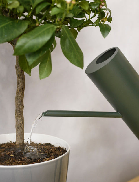 Stelton Bloom Flower Watering Can 2 L