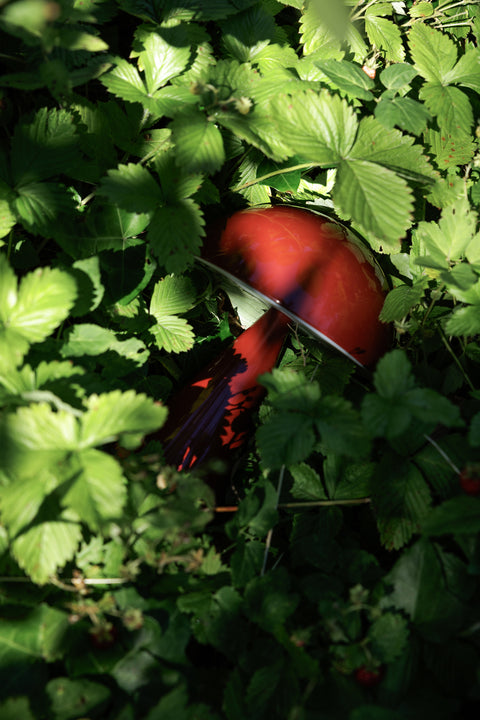 Hübsch Mush Portable Lamp Red