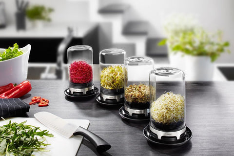 Gefu Sprouting jar BIVITA®