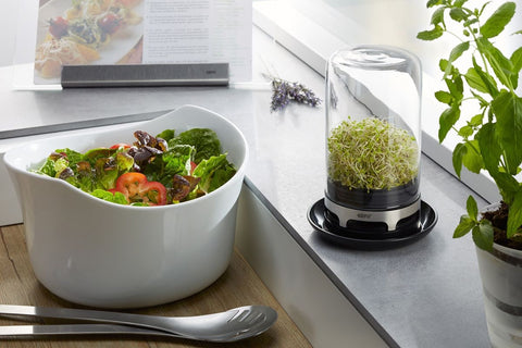 Gefu Sprouting jar BIVITA®