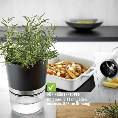 Gefu Herb Pot BOTANICO