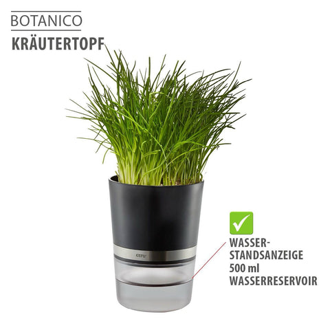 Gefu Herb Pot BOTANICO