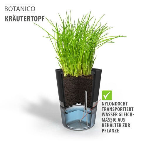 Gefu Herb Pot BOTANICO