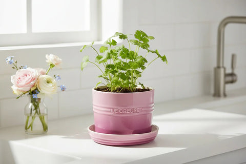 Vazo për Bimë aromatike prej Qeramike Le Creuset Rose Quartz
